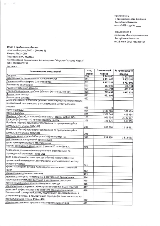 Финансовая отчетность за 2020 г